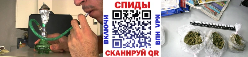 БУТИРАТ буратино  Купить где  Городище 