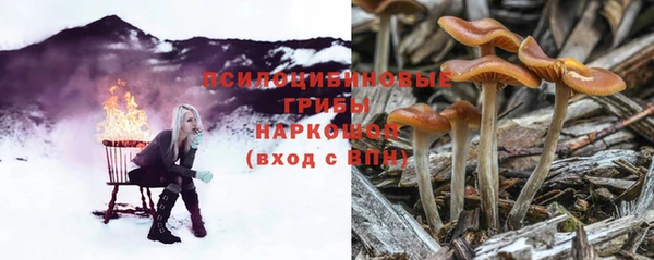 синтетический гашиш Бородино