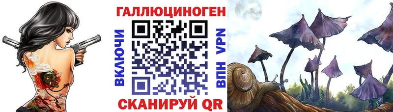 Псилоцибиновые грибы Cubensis  Купить  Городище 